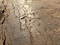 Lehmboden, geeignet für Lehmputz abzugeben